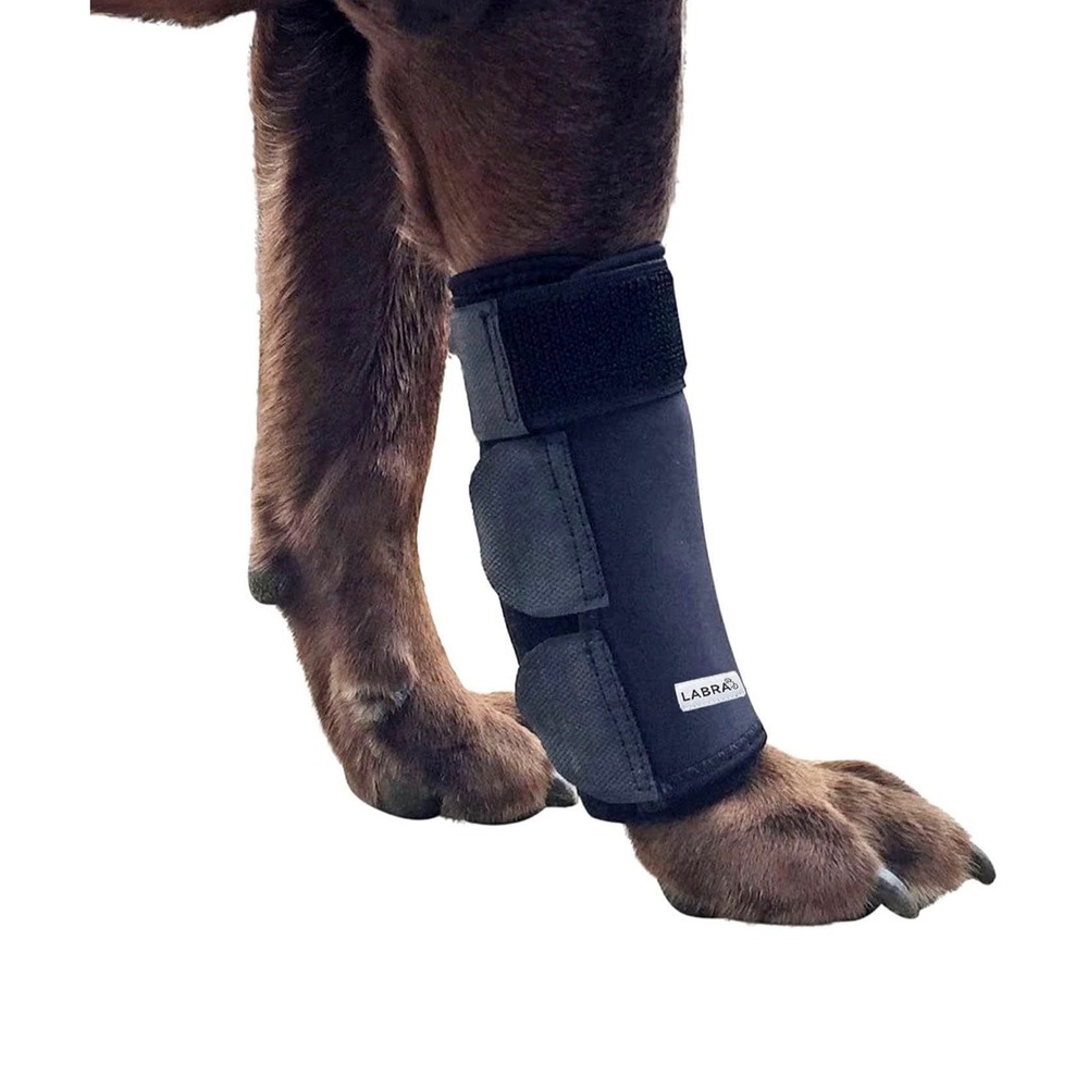 Labra Dog Front Leg Brace Compression Wrap‎ Support Large Extra Large Black